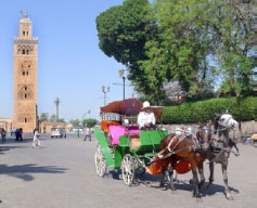 Calèche and the Koutoubia minaret, Marrakech