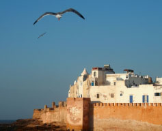 The coastal town of Essaouira